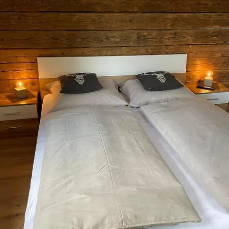 Sapplalm Holiday home *